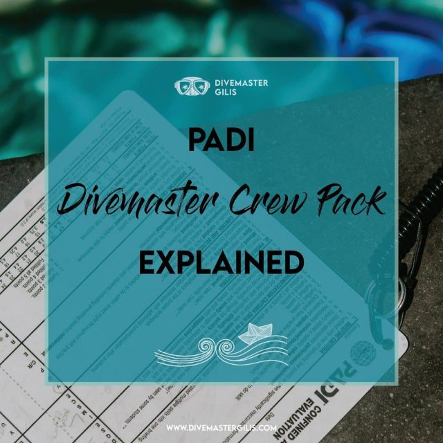 Everything You Need To Know About Padi Divemaster Crew Pack